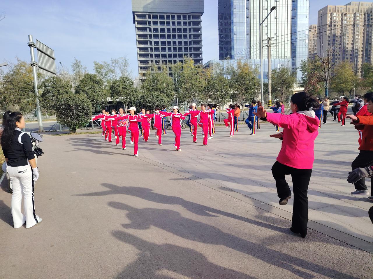 谈谈我们学校的民办教师。我村的民办教师如今大多已七八十岁，多数曾在小学任教。而我