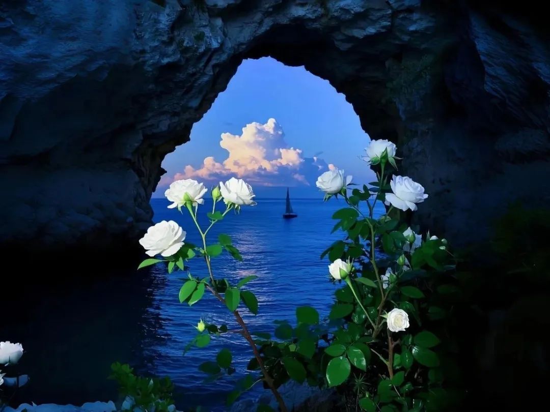 平凡的日常，也藏着很多温柔。