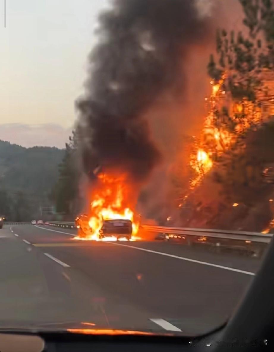 保险到底赔不赔整座山？今天刷到一段高速视频，看得我头皮发麻。一辆小车在高速