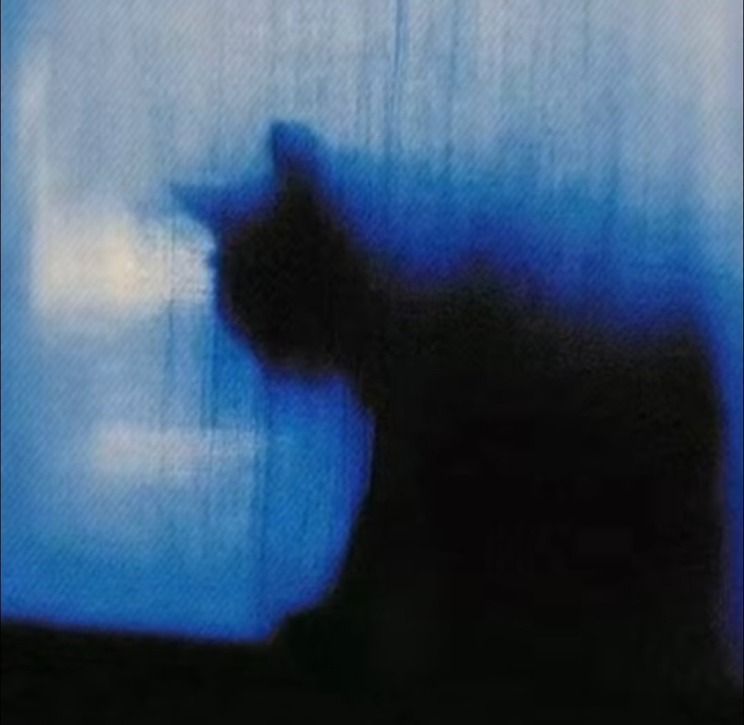 𝑾𝒆𝑪𝒉𝒂𝒕猫咪💙💙