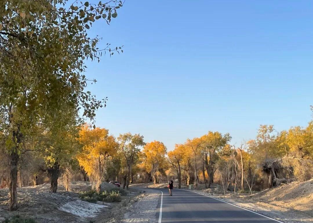 摄影创作：对于摄影爱好者来说，这里是天堂般的拍摄地，清晨的雾霭、正午的阳光、黄昏