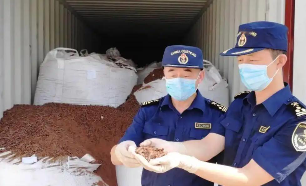 是谁在帮中国堵住稀土的后门？答案让所有人都没想到，中国对美国禁运关键稀土后，出现