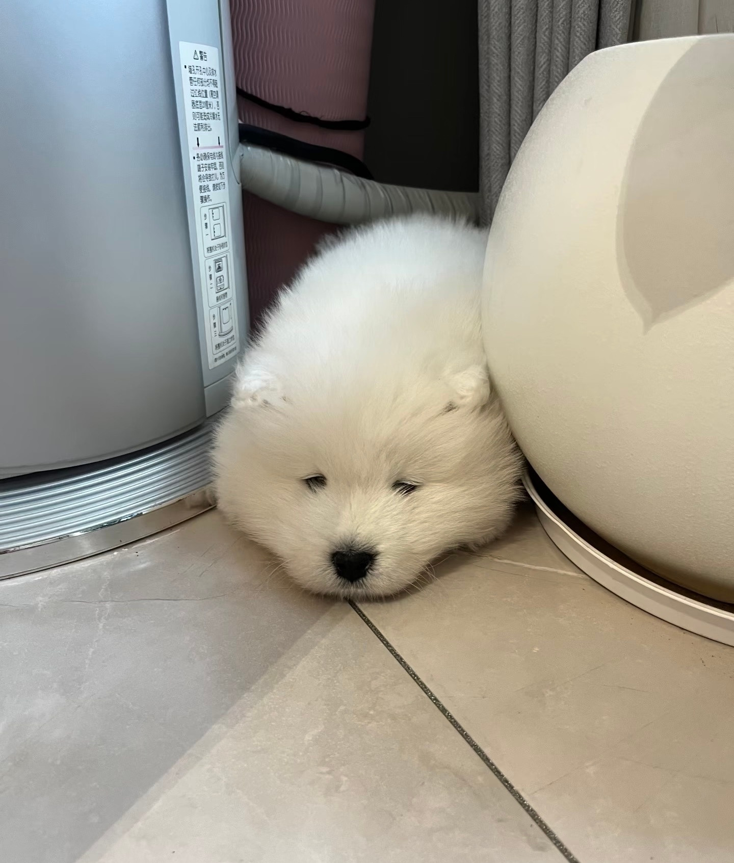 周一不想起床耶