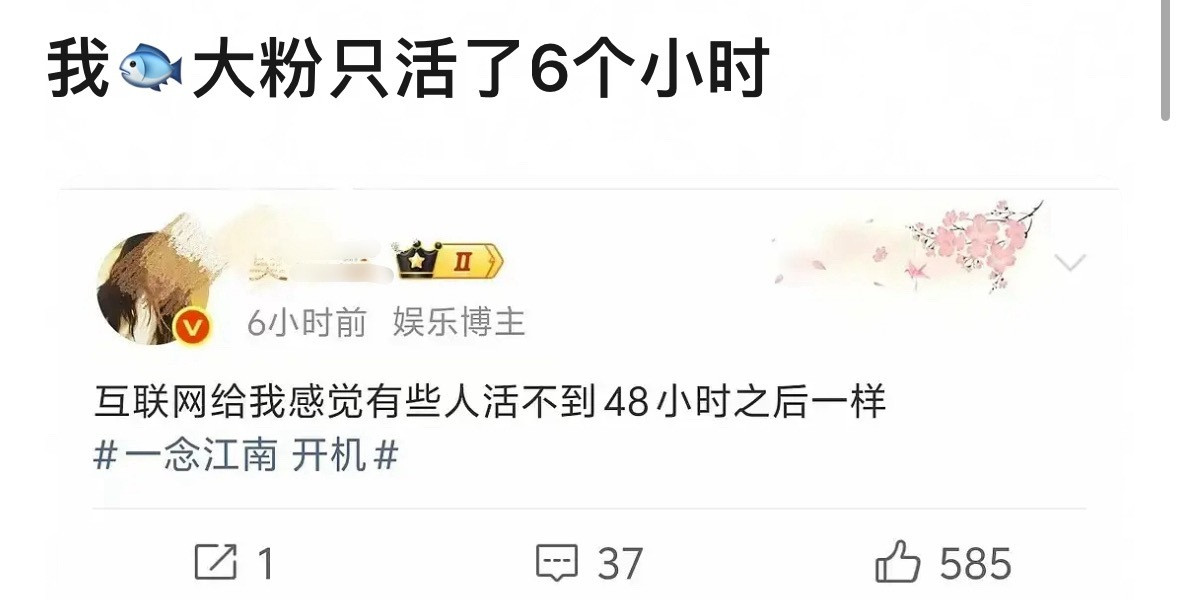 太有乐子了，这一个月的乐子全是🐟和🐟丝提供的​​​