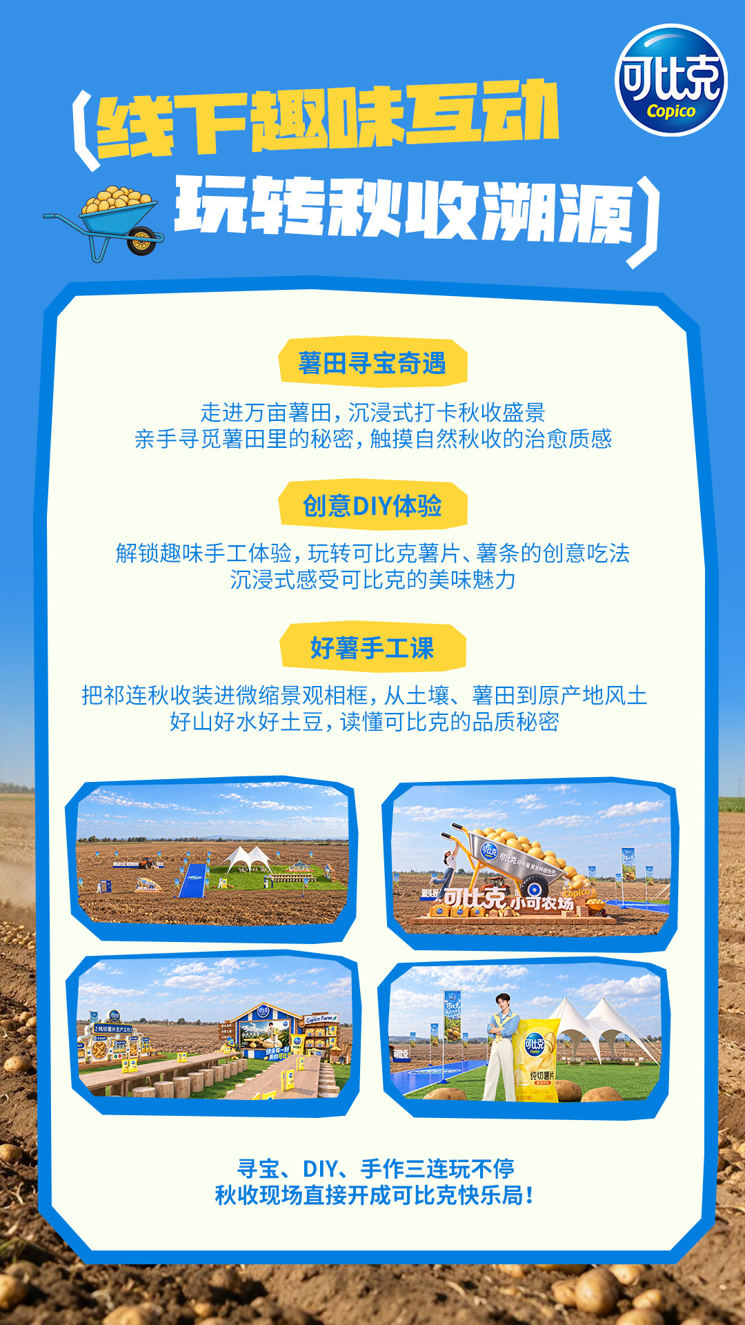 当我把土豆当成主食重新认识土豆，作为薯片的核心原料，生长环境至关重要，甘肃黄金种