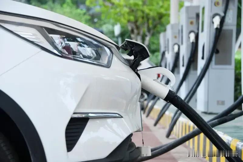 买电车本来想省钱的，可用了一年后盘点下竟然比油车还费钱。去年刚