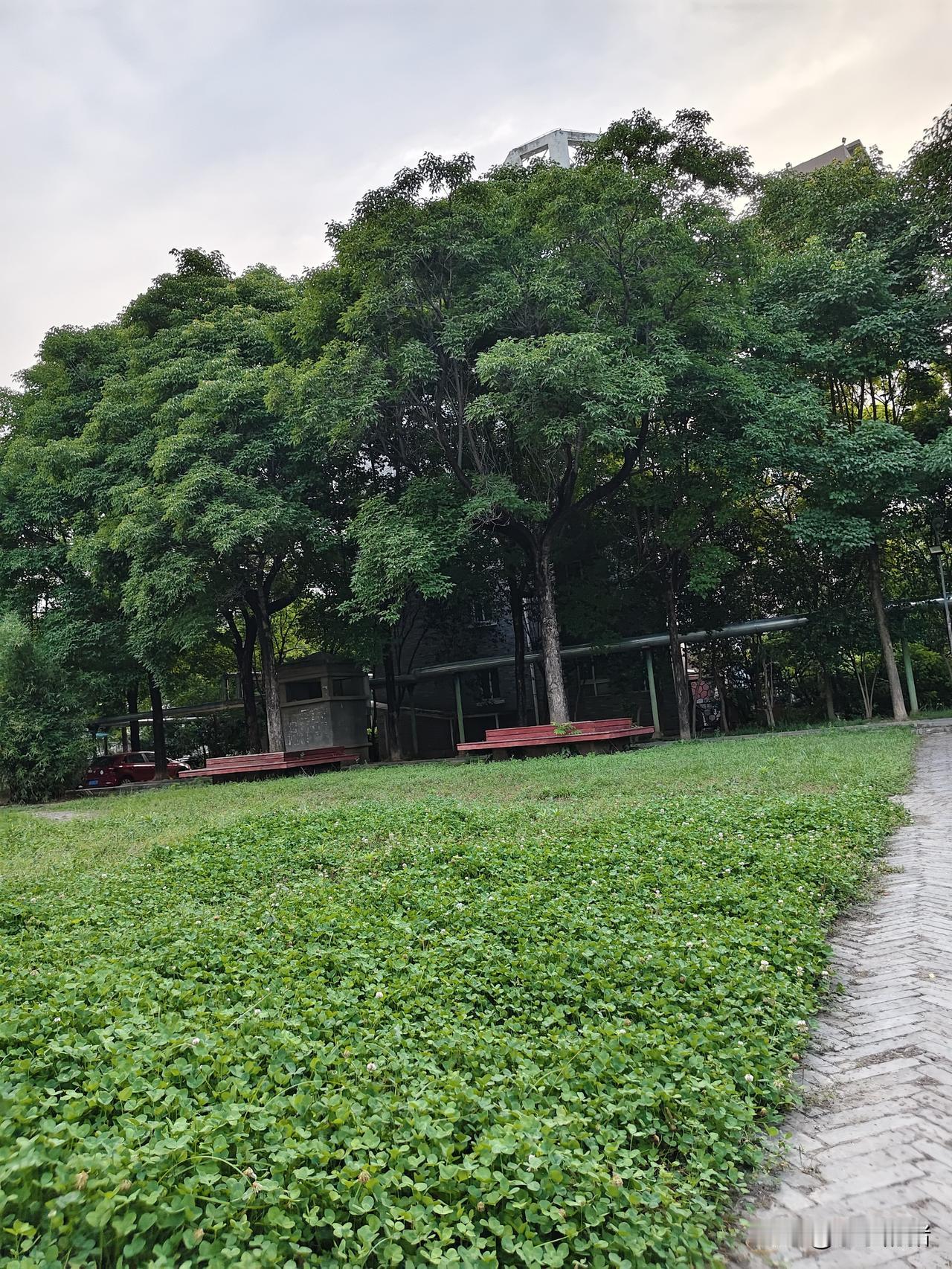 我爸一拜的老大，从过完年就张罗他们几个去饭店聚一聚。说他们都八十岁的人了，也聚不
