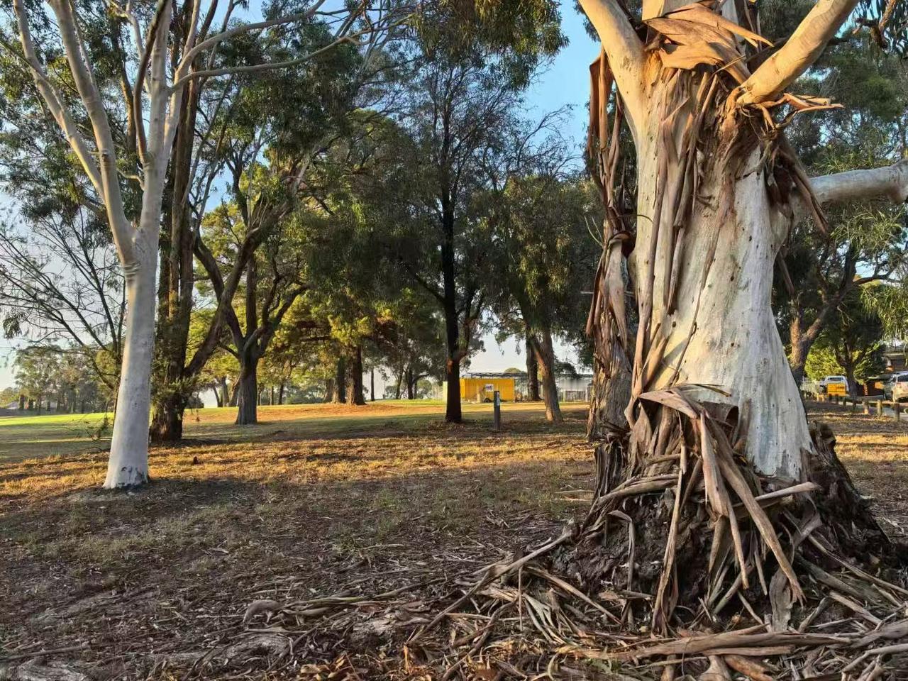 对伊朗，美国为何只敢龇牙，不敢下嘴？原因就在于，伊朗国内大锄奸，把美国安插的眼
