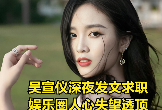 浪姐6吴宣仪刚播就求职，30岁女星的娱乐圈危机