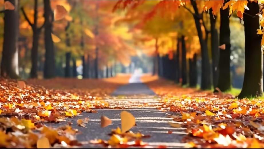 “春秋假”被搞成了不伦不类！几年前一个专家建议放春秋假，但他原本的建议是取消暑假