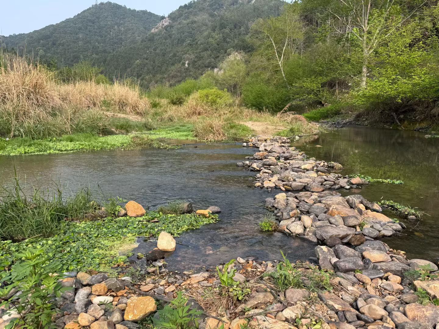 结语《道德经》言：“人法地，地法天，天法道，道法自然。”在3月12日前后，去种一