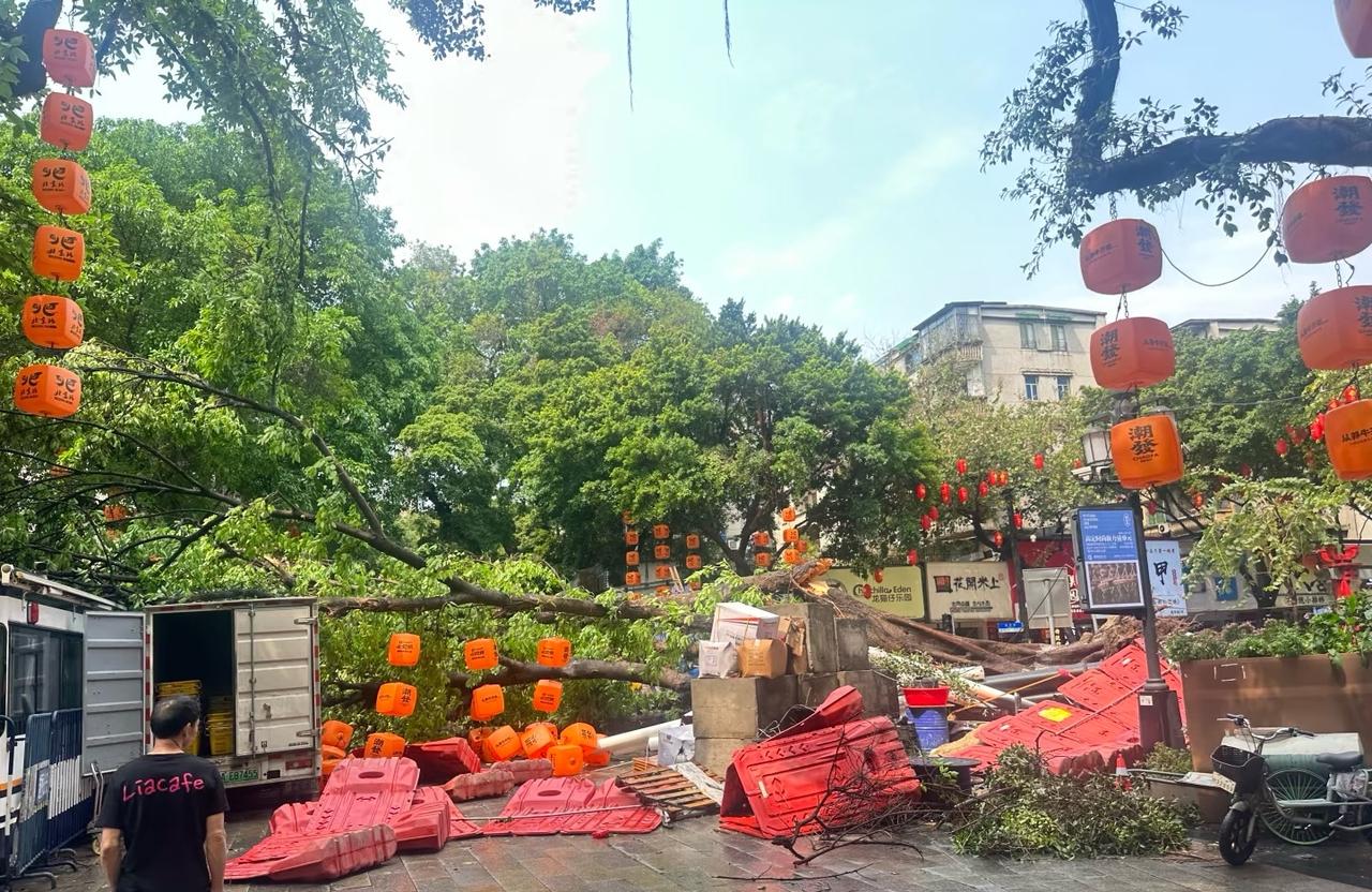 北京路周边百年大树连根拔起广州好像好多年都没有试过这么大雨了昨天下午和今天早