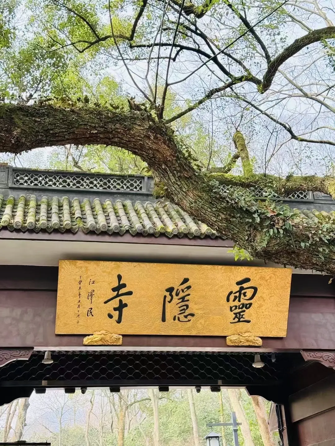 菩萨说，有福气的人一般前半生过得都很苦，一旦劫难渡完，后半生的福报会很...