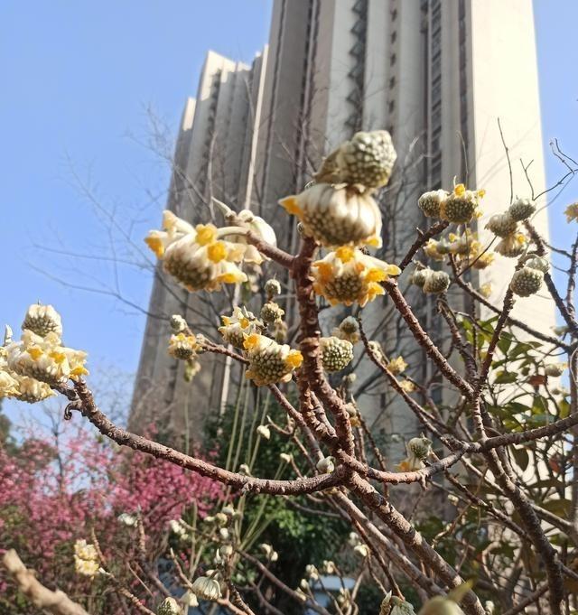 我妹被亲儿子换锁赶出门了，真是一点不冤。她儿子名校毕业自己买的房，老两口一分钱没