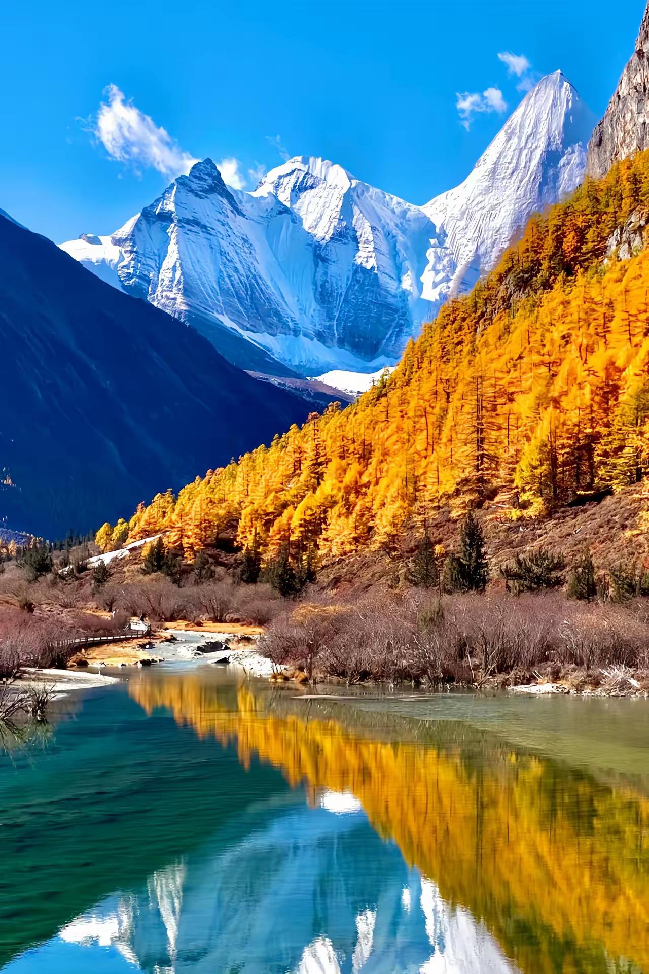 养生的王道，从来不是补品、不是药、不是昂贵的理疗，而是这四件事——心宽。