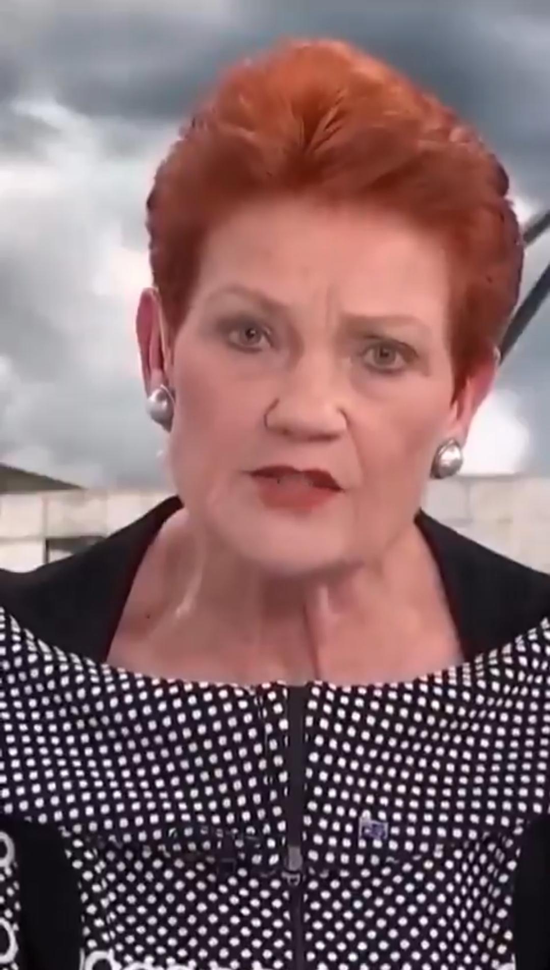 澳大利亚反移民党派崛起保罗·汉森的反移民党派“一国党”在2025年5月澳大利亚