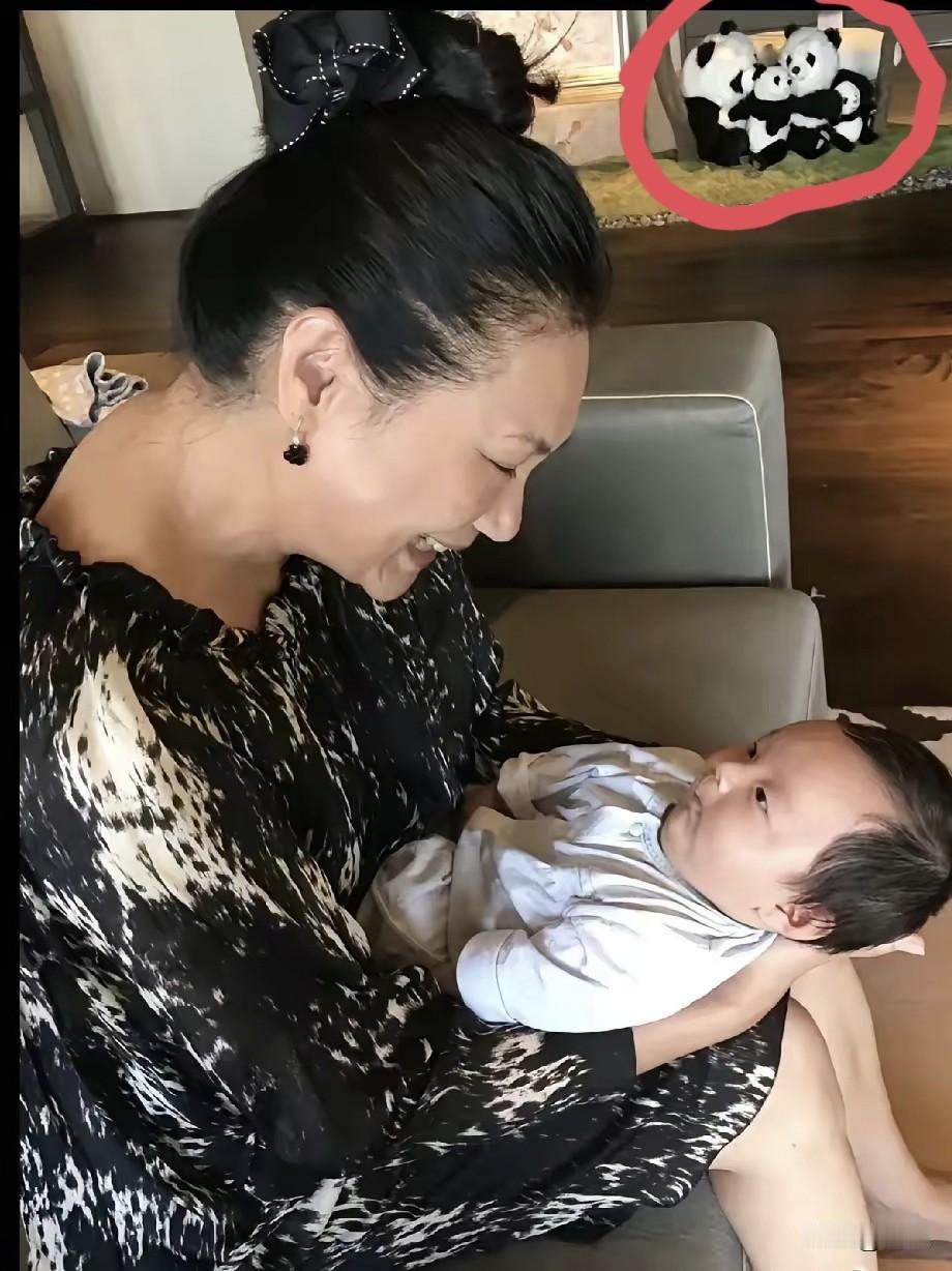 看到照片里的四只熊猫，才知大S的良苦用心。S妈抱着小箖箖，旁边的四只熊猫太抢眼