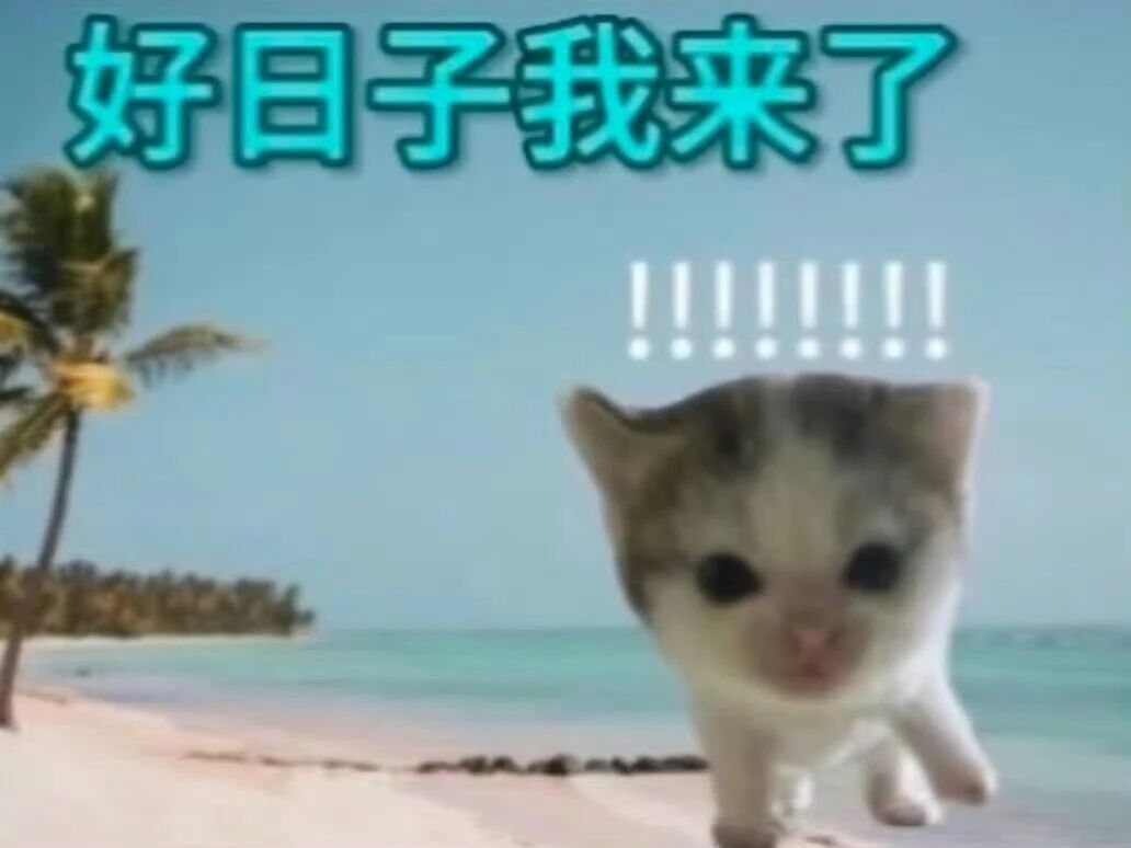 𝑺𝒉𝒂𝒓𝒆·表情包丨聊天必备的搞笑表情包分享​​​