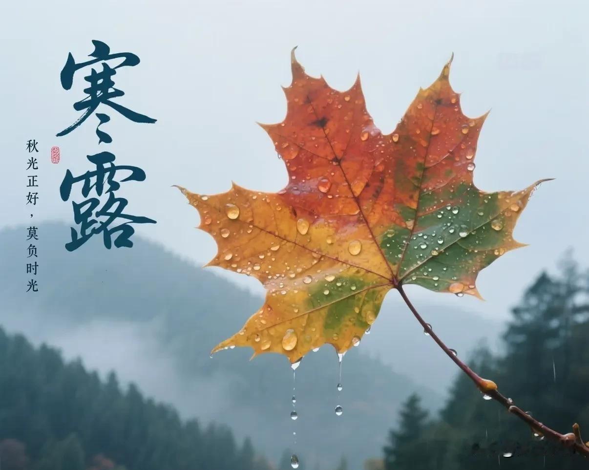 明日寒露，老人说“寒露吃三宝，不往医院跑”，具体指啥？咋吃？都说寒露一到天