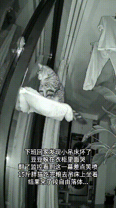 这个视频我反反复复看了好几遍，主人下班回家，发现小猫委屈巴巴躲在衣柜里掉眼泪，看