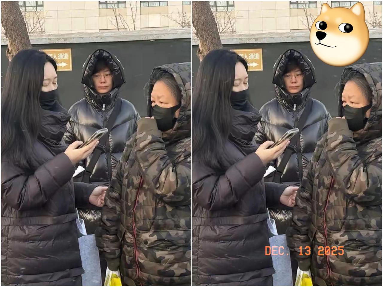 北京毒狗案已判决。本人认为：无论如何判决，都应该以人为本！此事不需投票，网上舆情