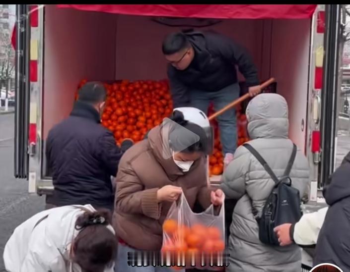 货车运费压到沒活路，司机掀翻水果老板的暴利，货运改行当老板，水果店从此冷冷清清