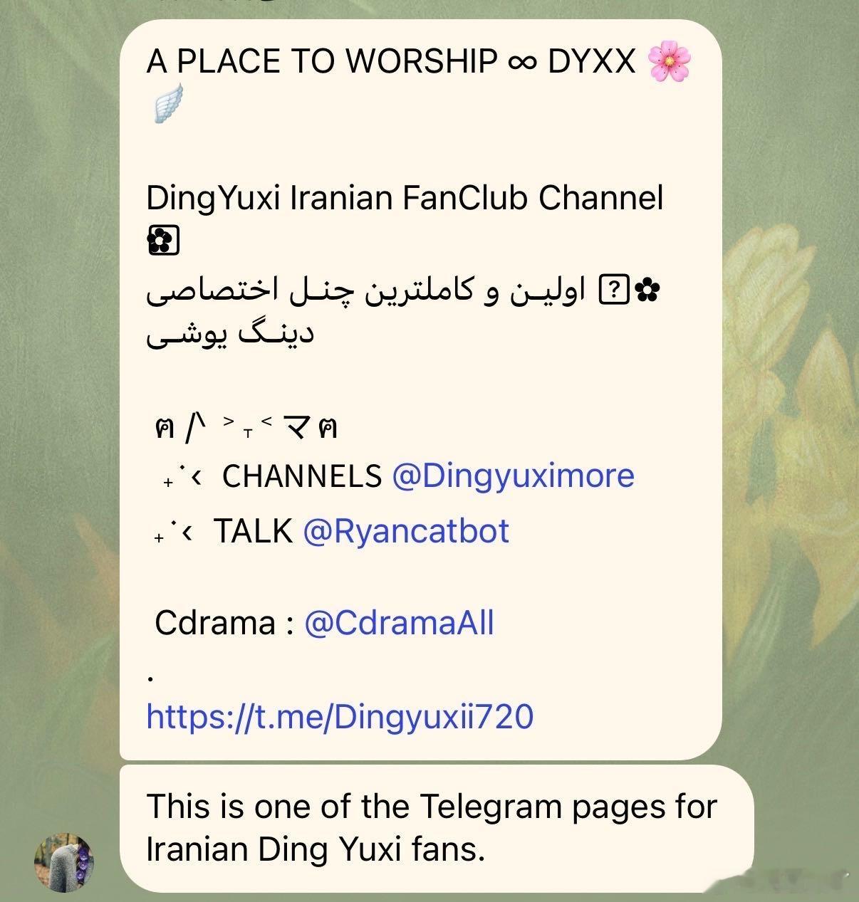 丁禹兮连伊朗都有粉丝团了！😱😱😱​​​