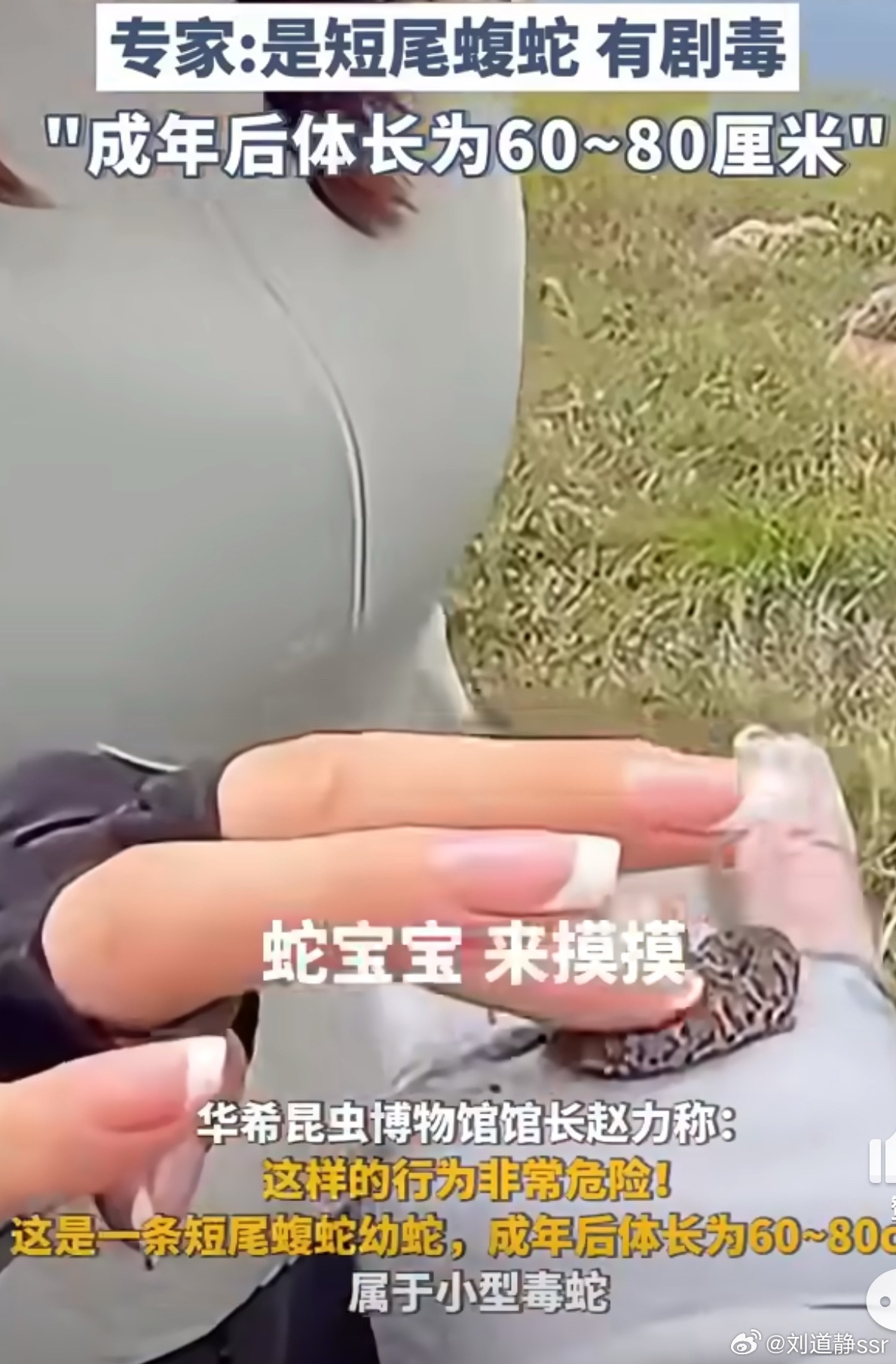 这帮人胆子太大了！就算是没毒我都不敢摸吓死人了，而且咬一下也很疼的更何况有毒呀，