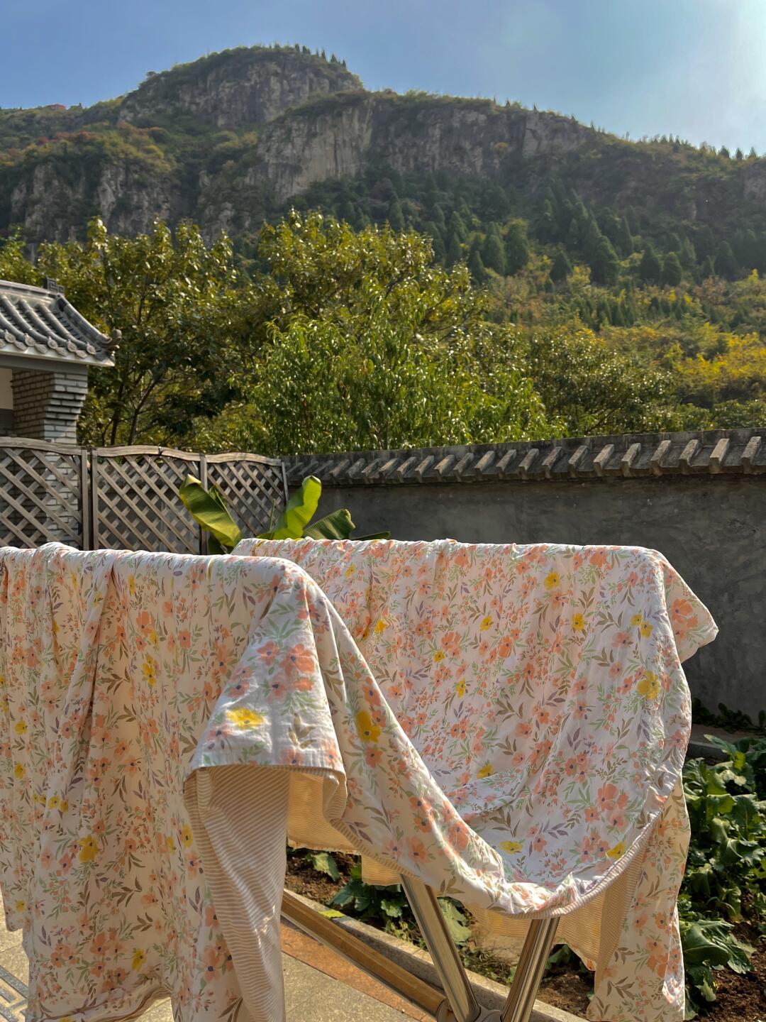 黄帝内经：女子在家静养是大补🌾（处暑篇）