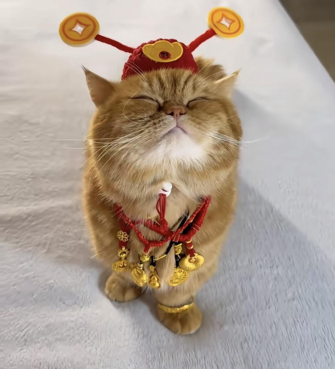 金价涨疯了，我是一看一个不吱声，肠子都悔青了！前段时间还900多一克的时候，