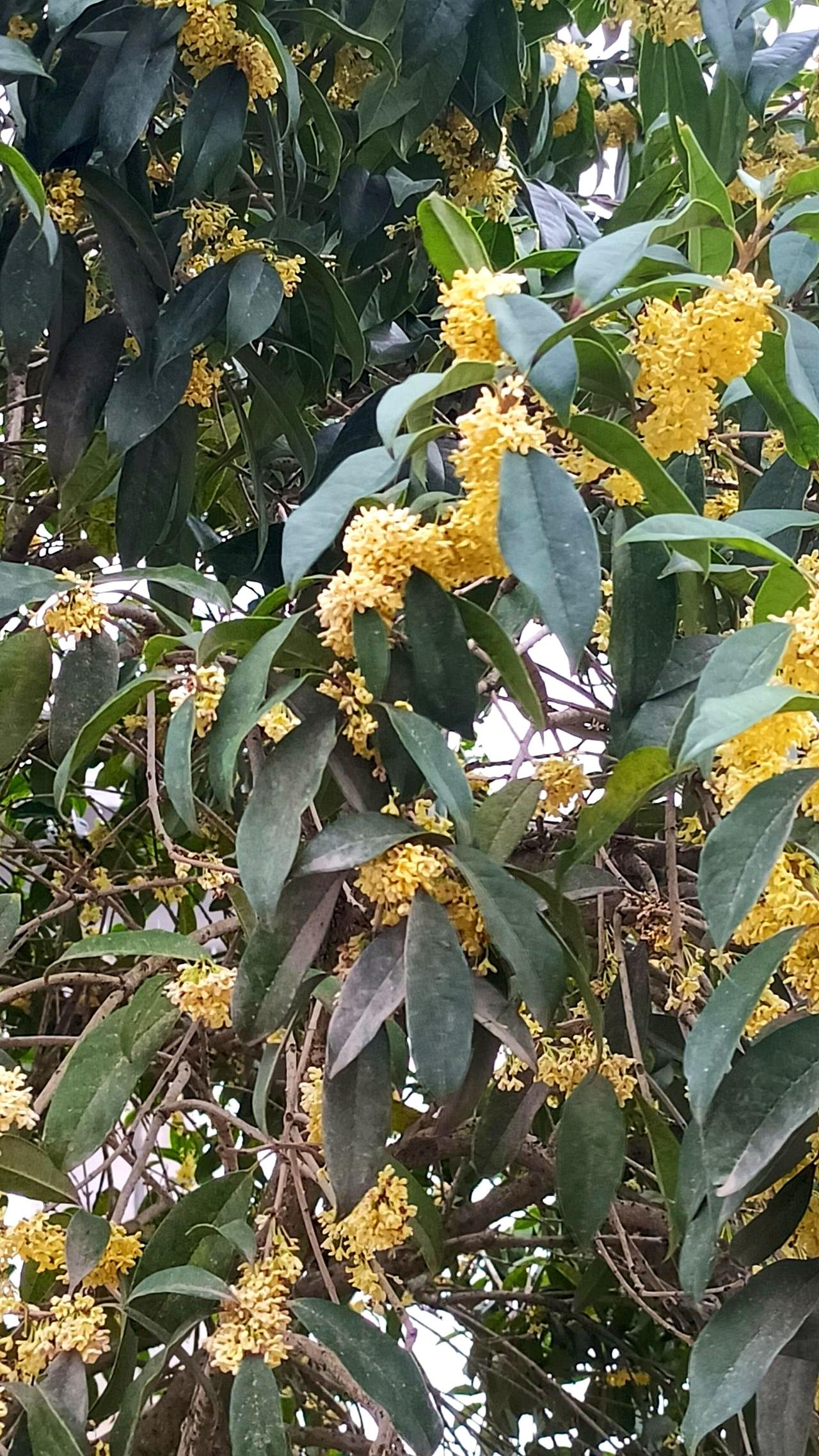 结婚久了才发现，有些男人连刷牙都像在完成KPI？我老公睡前不刷牙不洗下面，内裤