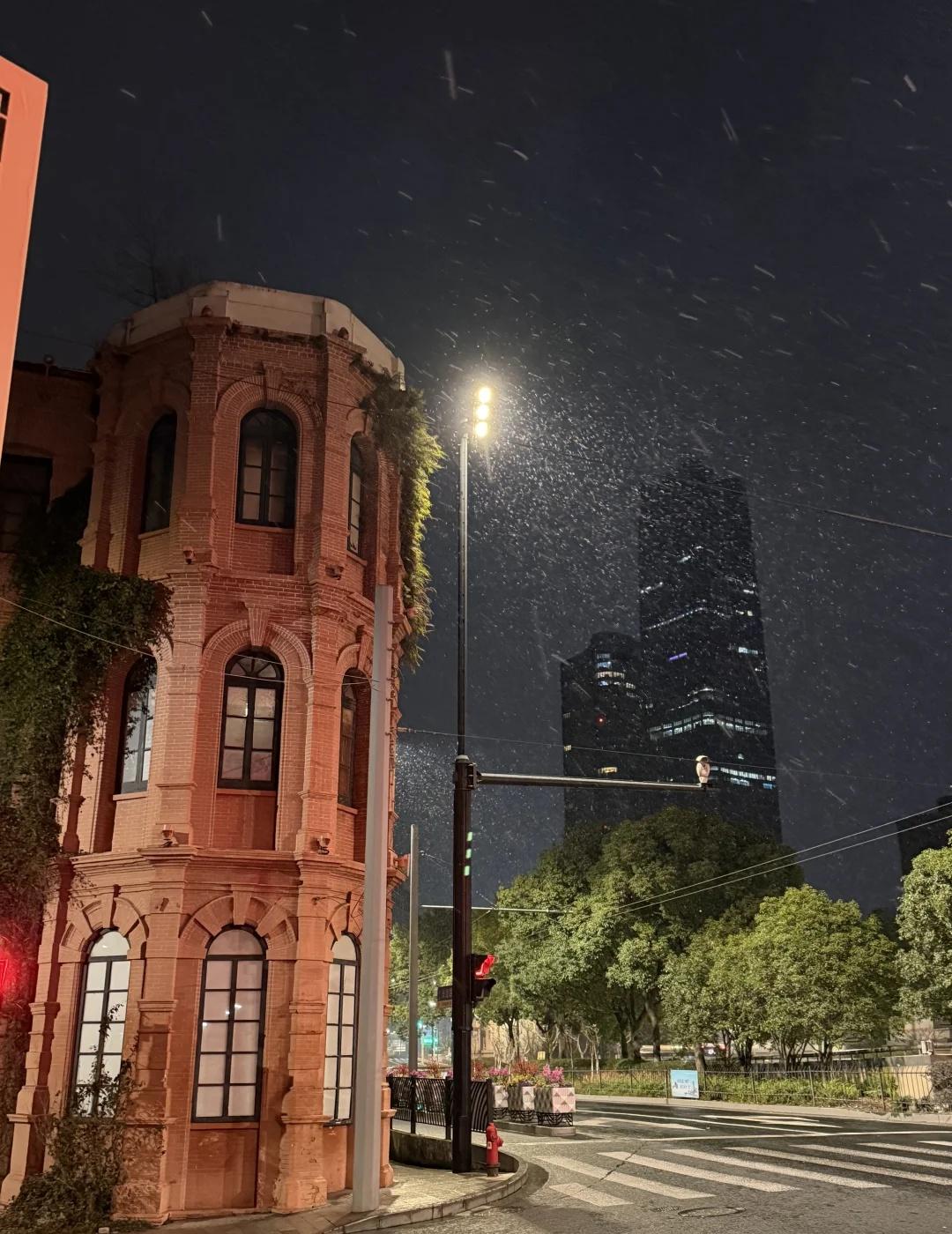 已经十几年没下雪的上海突然飘雪下雪的上海下雪的日子2026年上海的小伙伴