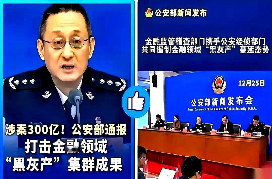 公安部这次开会，等于直接掀了桌子。 一句话挑明：别管你叫“金融科技”还是“普