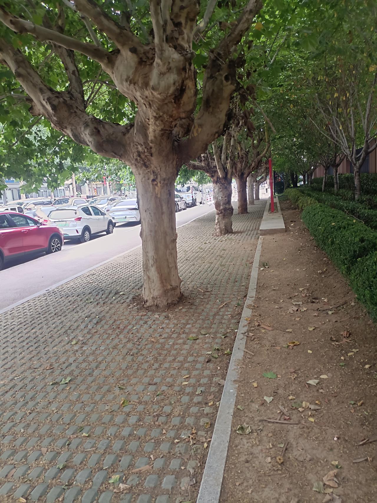 一位著名老中医说：“不好色的人肾精都足！肾精足一般都有三个特点，第一就是自控力强