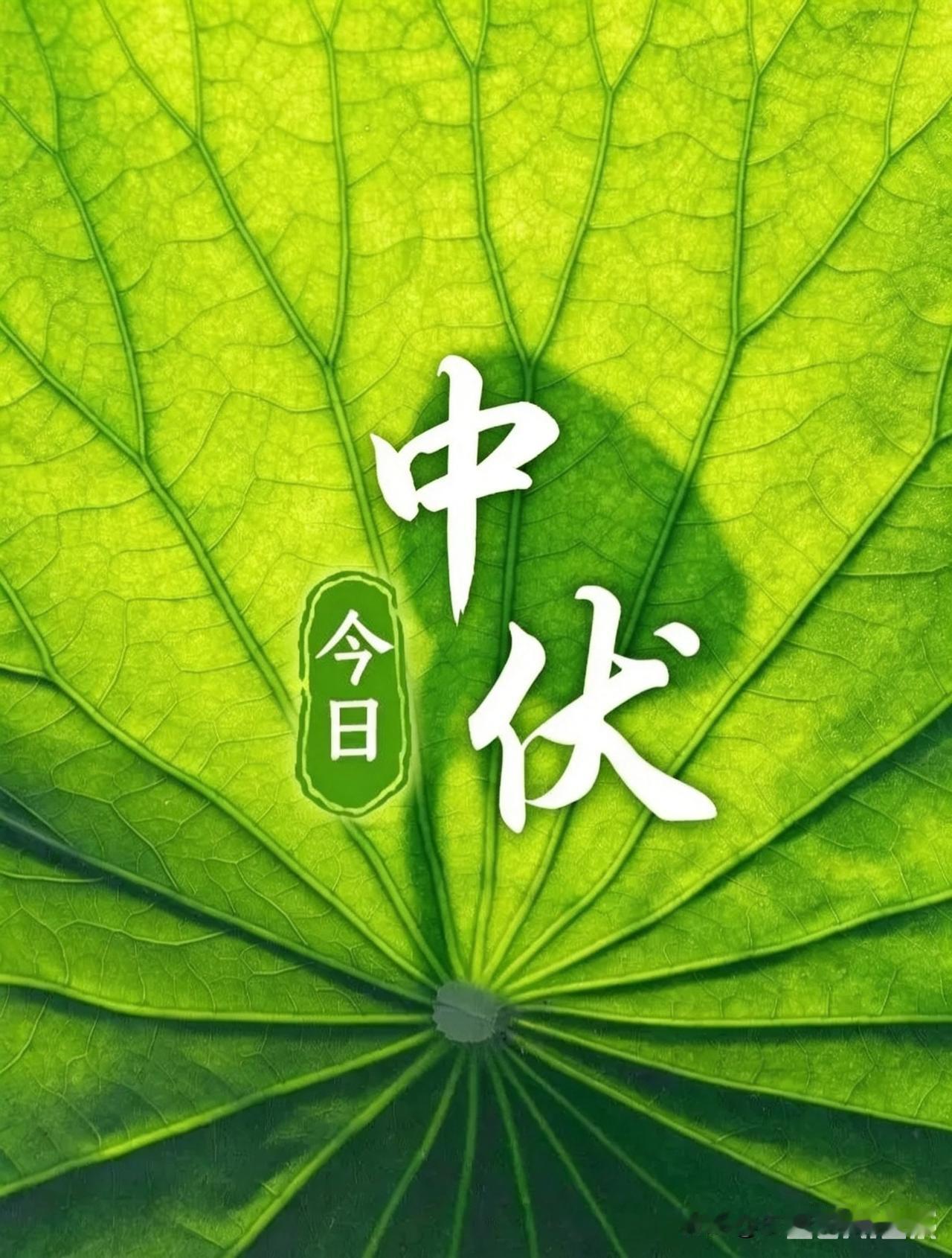 真心提醒所有人，今天7月25日进人中伏了，晚上睡觉千万不要整夜吹风扇、吹空调