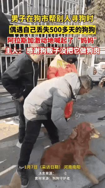 泪目了！一位大哥养了一只狗狗，平时就特别疼爱，可一年前的一天他下班回家发现狗狗不