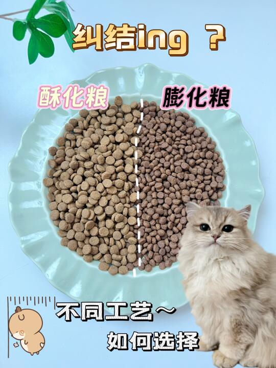 手把手教你挑选猫粮，告别软便不是梦