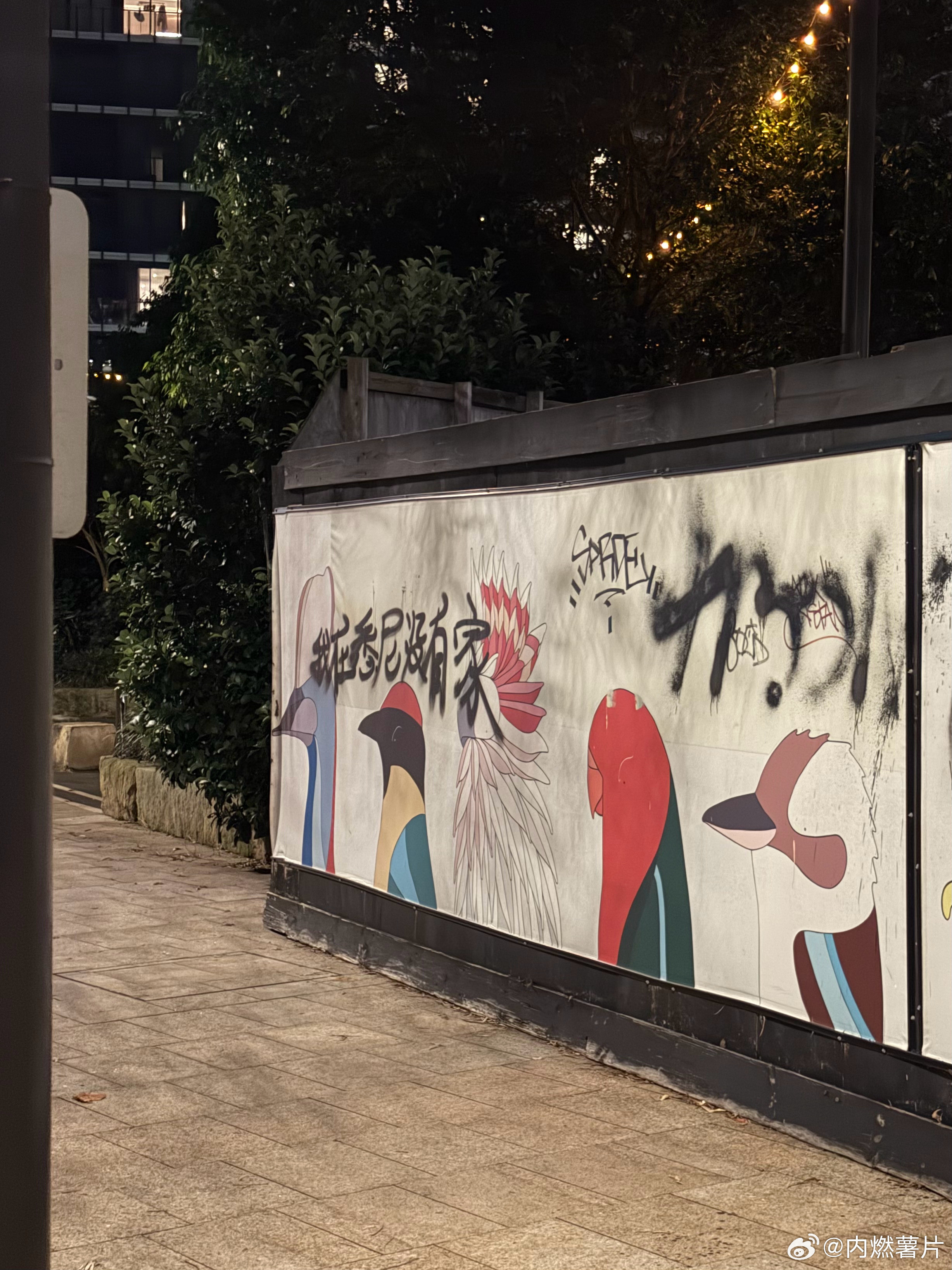 我在悉尼没有家