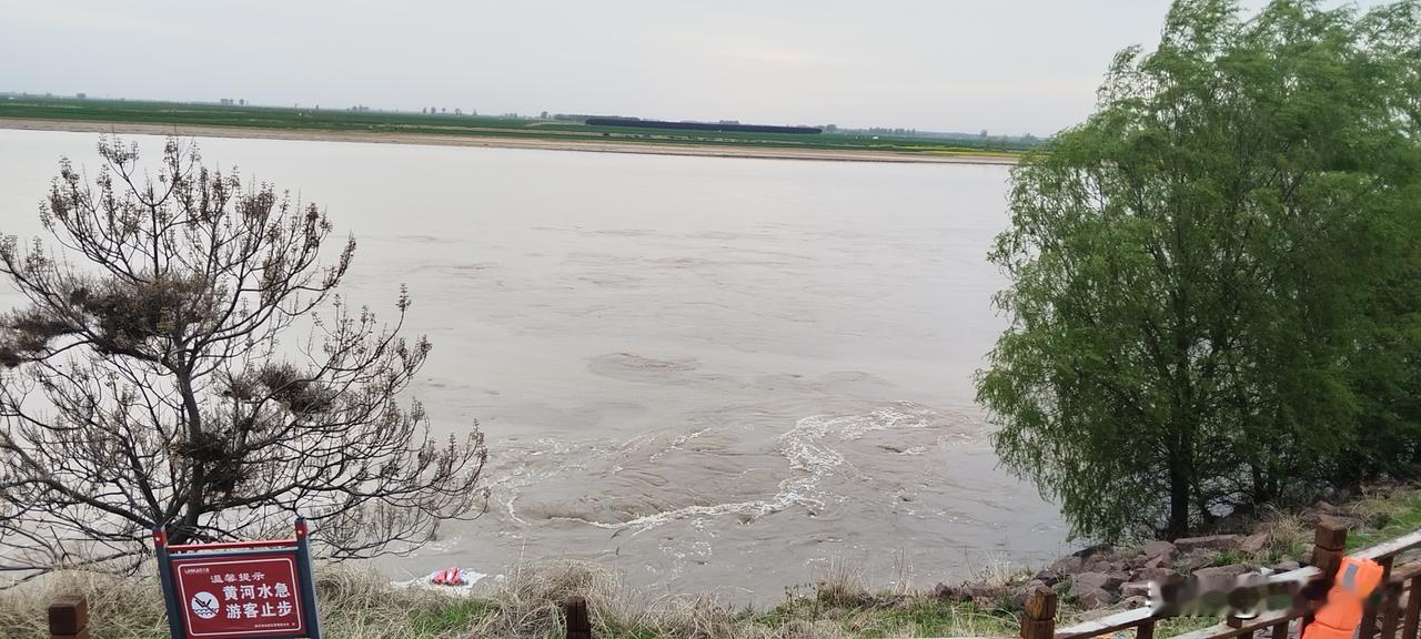 这几年生态养殖很流行，对于出生在农村的我来说，从小就养鸡养猪，尤其是暑假时，打猪