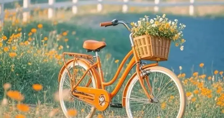 16句精选励志正能量句子, 句句光芒万丈, 积极向上, 越读越优秀!