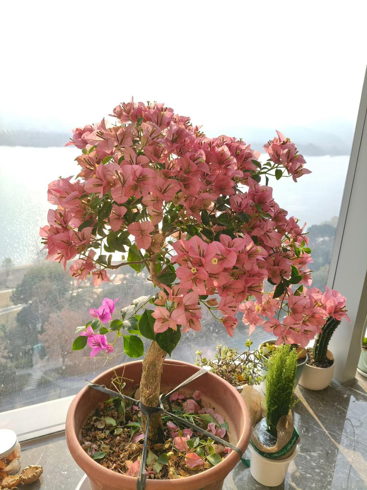 这个问题很有意义吧！退休的曾经作出过贡献，在职的正在做贡献，都不可慢待。但是，在