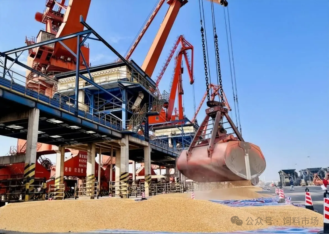 头条‖巴西大豆价格下跌, 中国再次转向巴西签订20船大豆订单