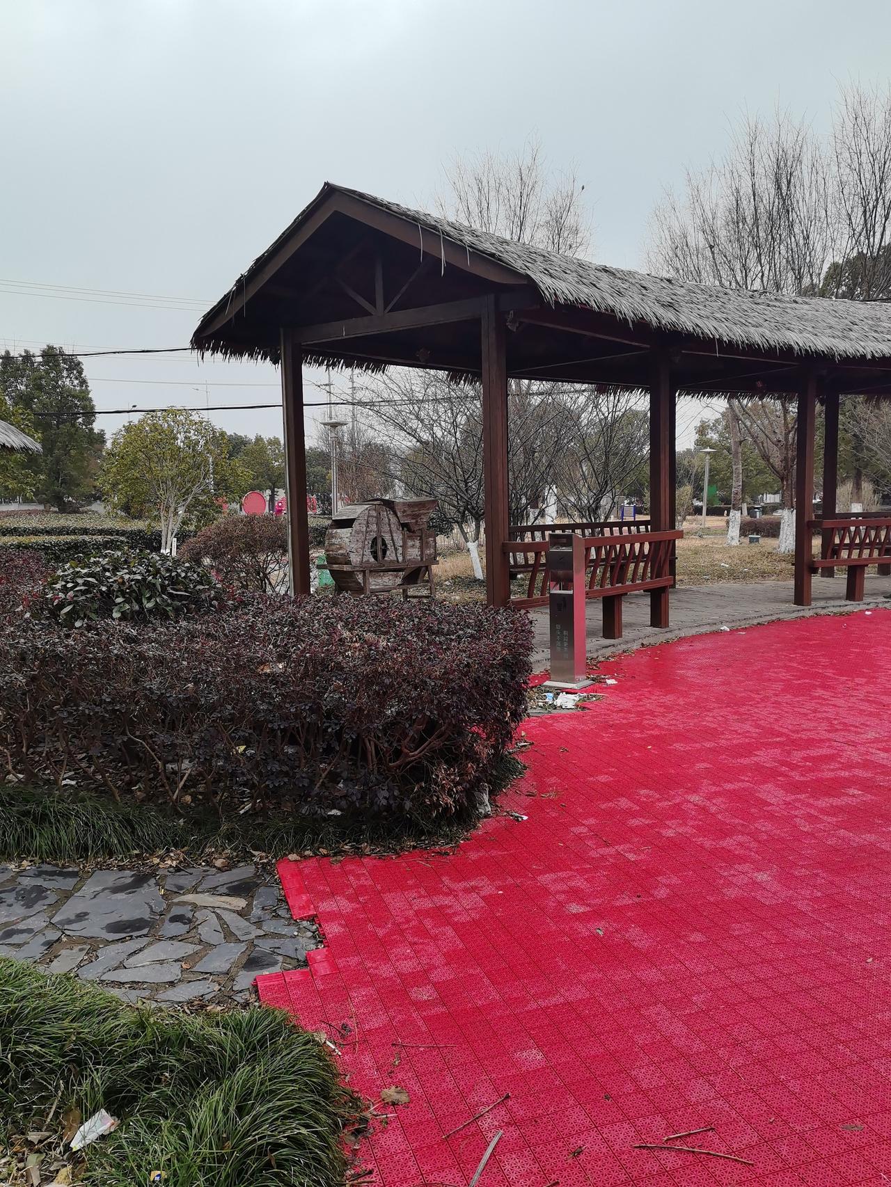 今年冬天的不同今年冬天跟往年比，那可太不一样了。全国大范围异常偏暖，1月平均气