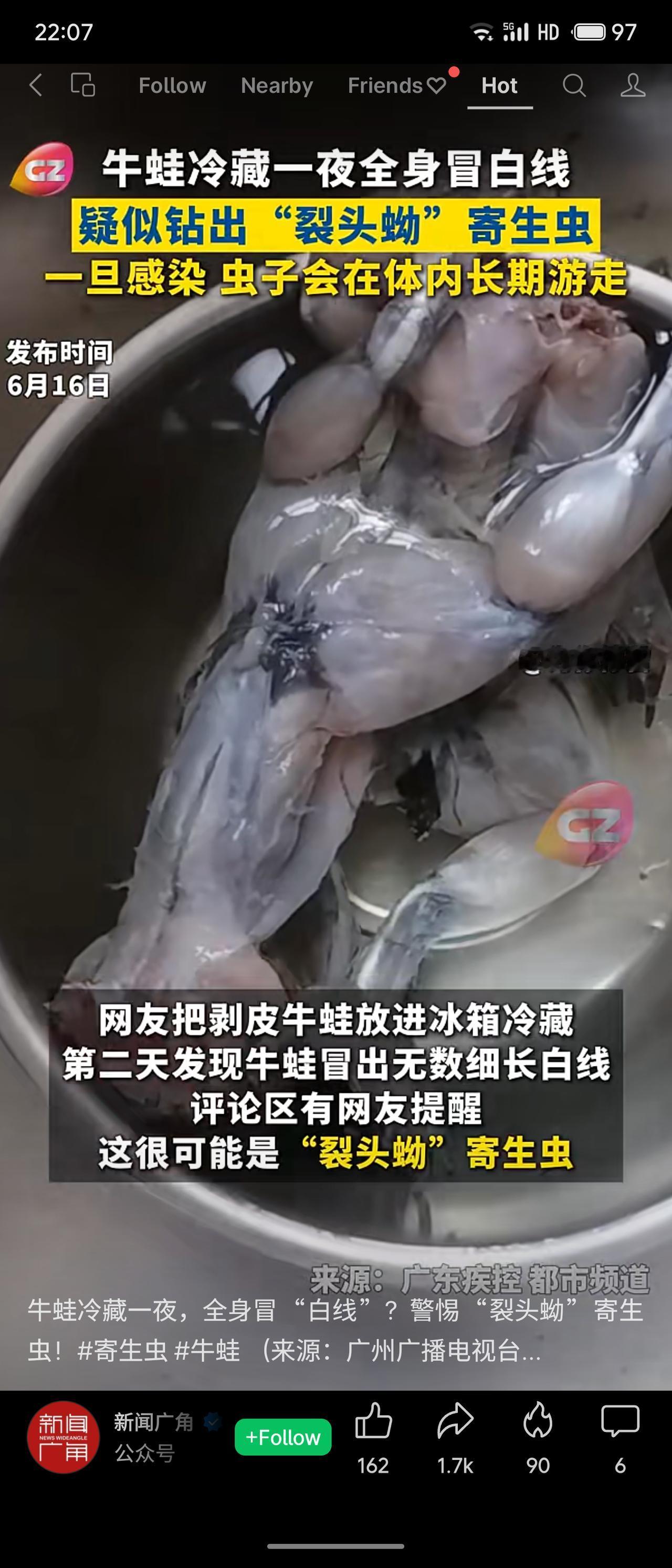 近日，网友将剥皮牛蛙冷藏一夜后，发现其全身冒出大量细长白线，疑似裂头蚴寄生虫。牛