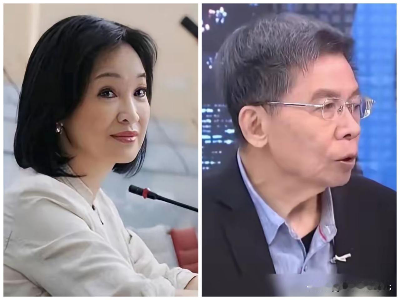 台湾名嘴沈富雄称“国民党主席郑丽文最大的威胁不是赵少康，卢秀燕等人，而是最不起眼