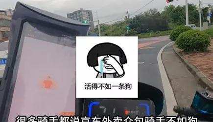 东哥做外卖，为了弯道超车猛踩油门，结果一不小心掉沟里了。这次又被监管部门批评，理