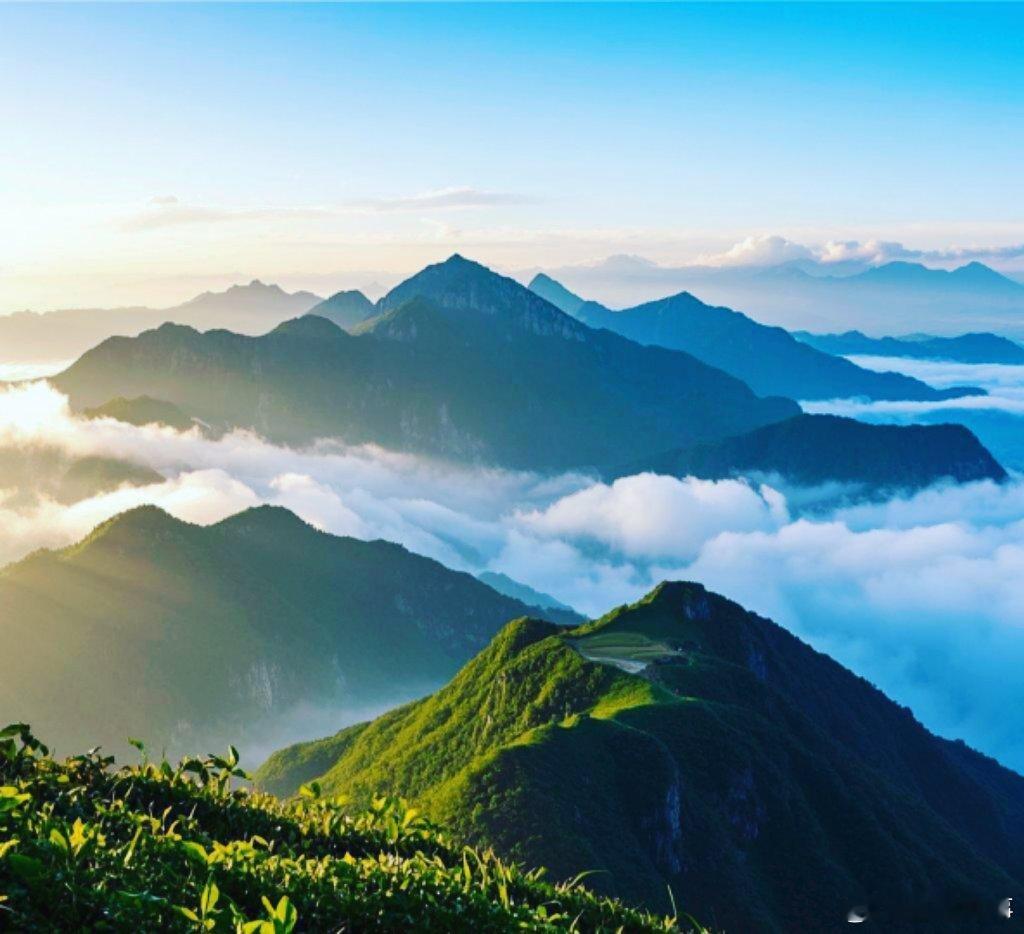 广西不止有山水还有云瀑猫儿山华南之巅的日出云海，让广东摄影团凌晨三点就开始蹲守