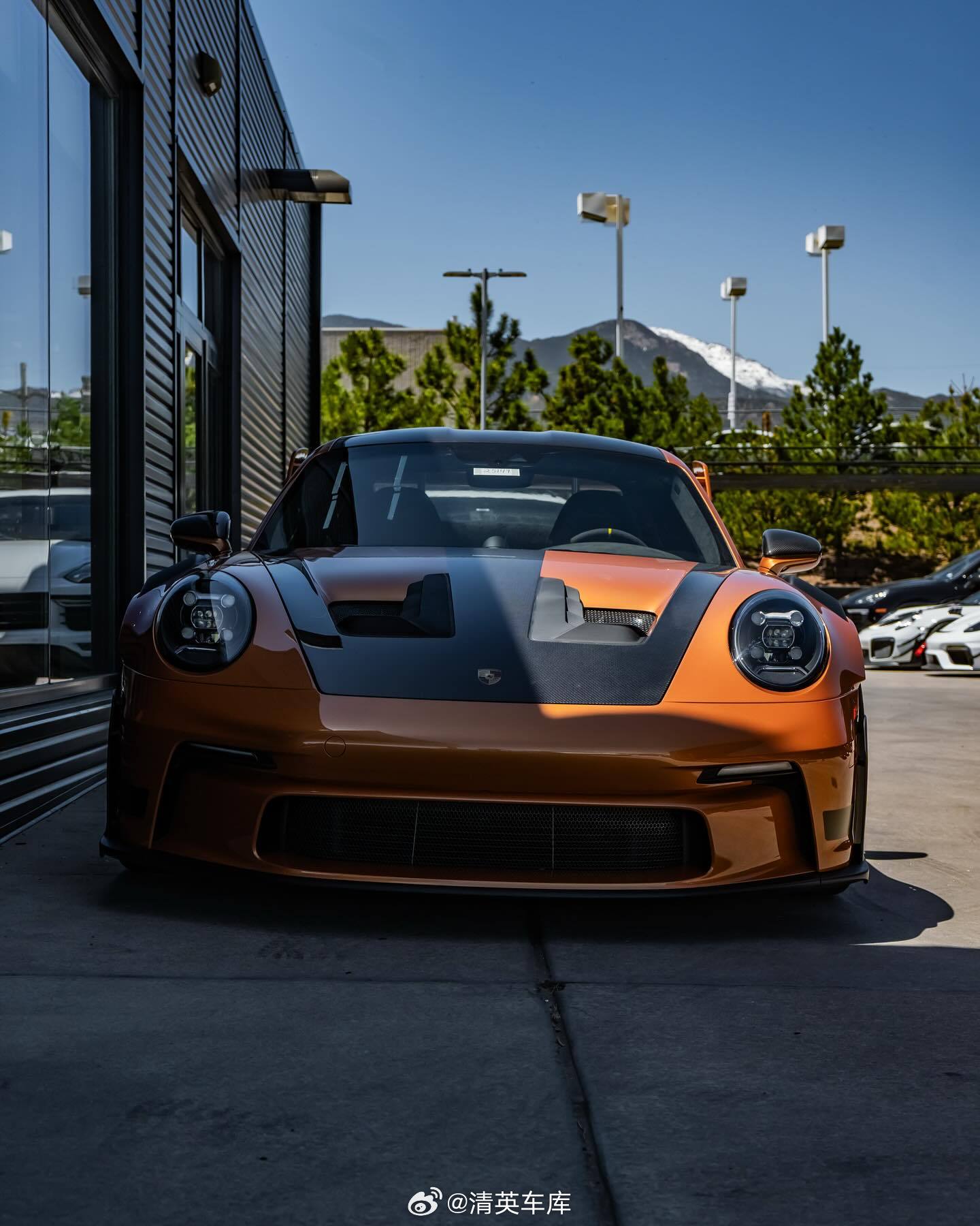 Porsche911GT3RSPTSNordicGoldMetal