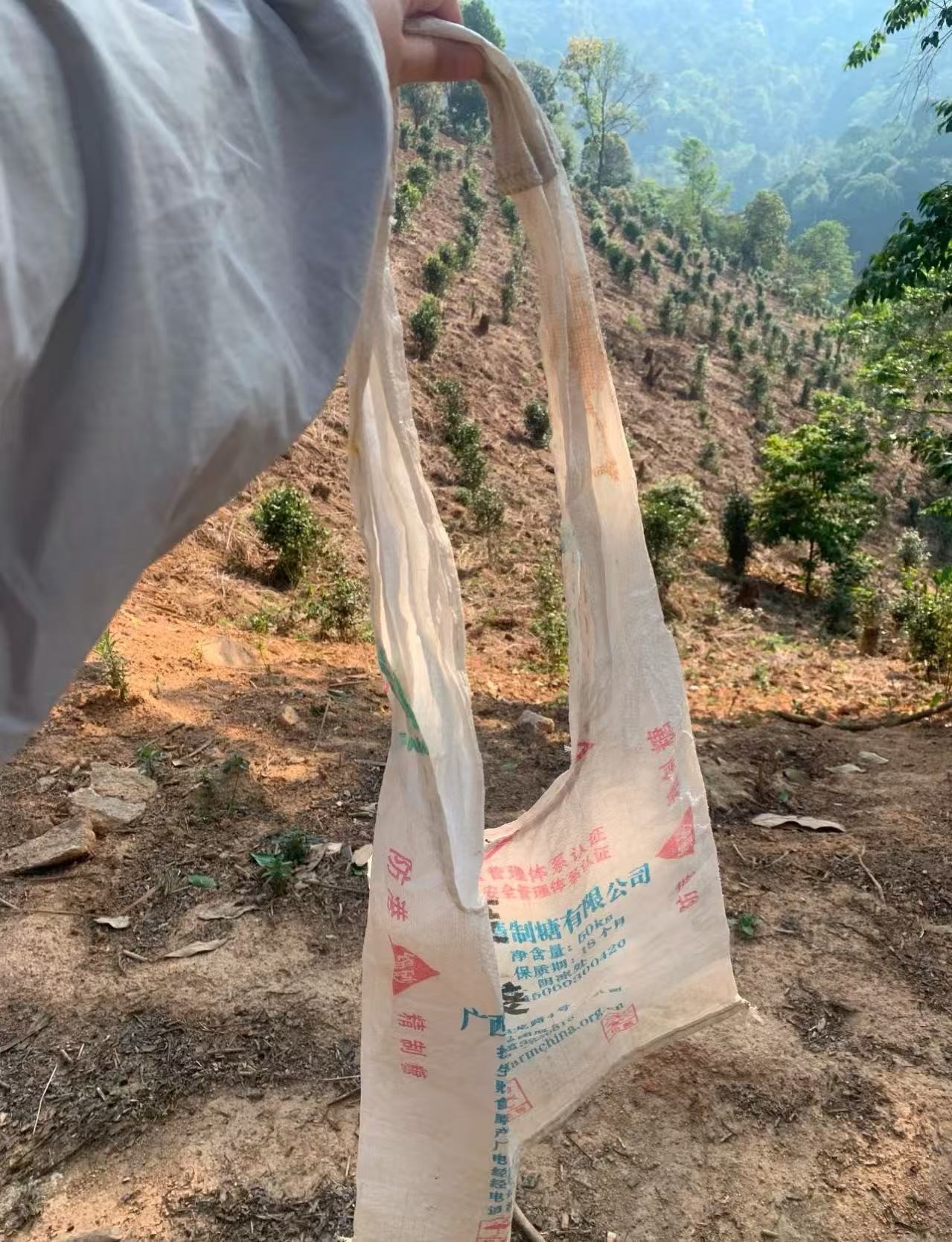 云南避暑的年轻人出行现状爬山时把外套脱了嫌累赘，下山就后悔，跟捡垃圾的阿姨石头