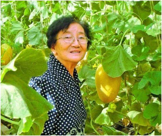 1984年，有专家驱车千里来到新疆鄯善视察瓜棚，做调研工作，为了给专家们接风，便